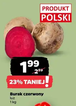 Netto Burak czerwony oferta
