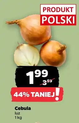 Netto Cebula luz oferta