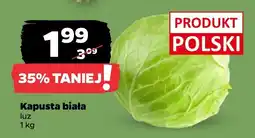 Netto Kapusta biała luz oferta