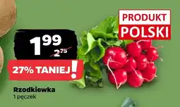 Netto Rzodkiewka oferta