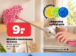Netto Miotelka teleskopowa do kurzu oferta
