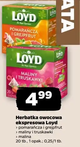 Netto Herbatka owocowa ekspresowa Loyd oferta