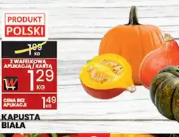 Wafelek Kapusta Biała oferta