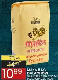 Wafelek Mąka pszenna Typ 480 Dalachów oferta