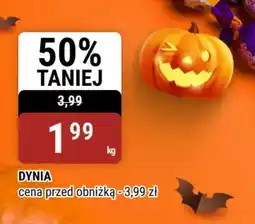 bi1 Dynia oferta