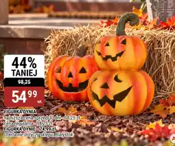 bi1 Figurka Dynia oferta