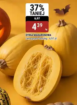 bi1 Dynia Makaronowa oferta