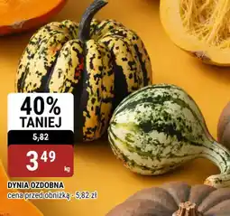 bi1 Dynia ozdobna oferta