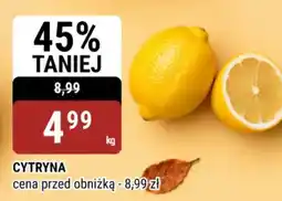 bi1 Cytryna oferta
