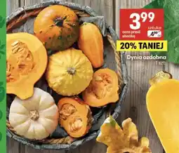 Delikatesy Centrum Dynia ozdobna oferta