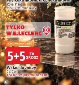 E.Leclerc Wkład do zniczy Ardence oferta