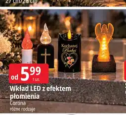 E.Leclerc Wkład LED z efektem płomienia oferta