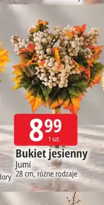E.Leclerc Bukiet jesienny Jumi oferta
