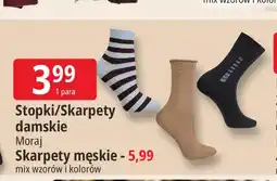 E.Leclerc Skarpety męskie Moraj oferta