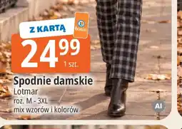 E.Leclerc Spodnie damskie Lotmar oferta