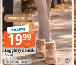 E.Leclerc Legginsy damskie ocieplane Moraj oferta