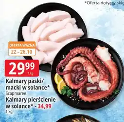 E.Leclerc Kalmary paski w solance Scapmaree oferta