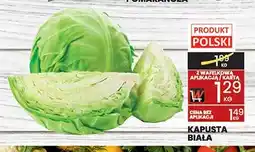 Wafelek Kapusta biała polska oferta