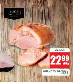 Bingo Golonko śląskie Haga oferta