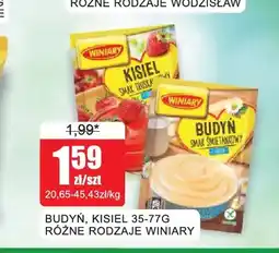 Bingo Budyń Winiary oferta