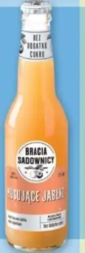 Selgros Napój bracia sadownicy oferta