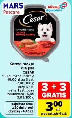 Carrefour Karma mokra dla psa CESAR oferta