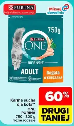Carrefour Karma sucha dla kota one purina oferta