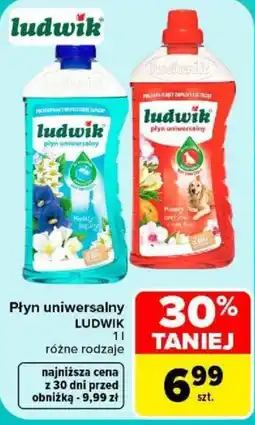 Carrefour Płyn uniwersalny LUDWIK oferta