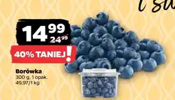 Netto Borówka oferta