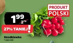 Netto Rzodkiewka oferta