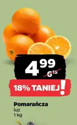 Netto Pomarańcza oferta
