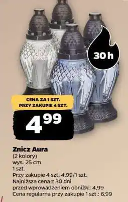 Netto Znicz Aura oferta