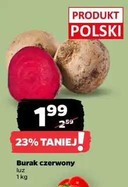 Netto Burak czerwony oferta