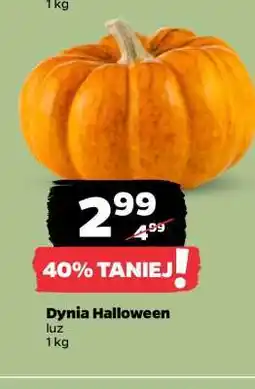 Netto Dynia Halloween oferta