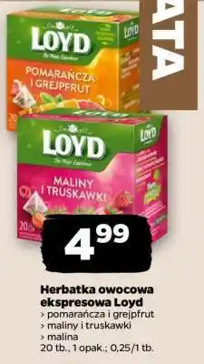 Netto Herbatka owocowa ekspresowa Loyd oferta