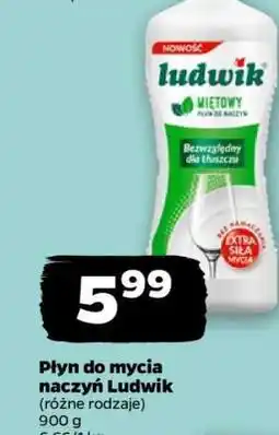 Netto Płyn do mycia naczyń Ludwik oferta