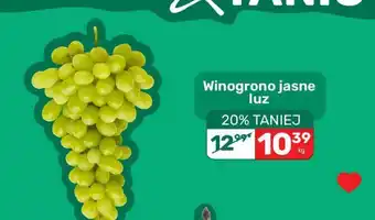 Winogrono jasne luz