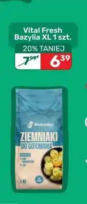 Biedronka Vital Fresh Bazylia XL 1 szt oferta