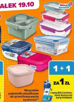 Carrefour Wszystkie pojemniki plastikowe do przechowywania żywności oferta