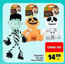 Carrefour Zabawka dla psa Halloween oferta