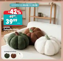 Biedronka Poduszka dynia Domarex oferta