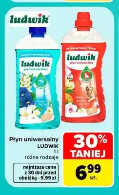 Carrefour Płyn uniwersalny Ludwik oferta