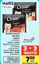 Carrefour Market Karma mokra dla psa Cesar oferta