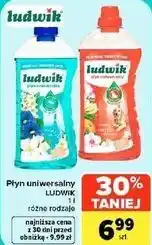 Carrefour Market Płyn uniwersalny LUDWIK oferta