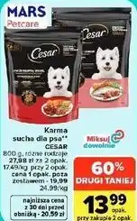 Carrefour Market Karma sucha dla psa Cesar oferta