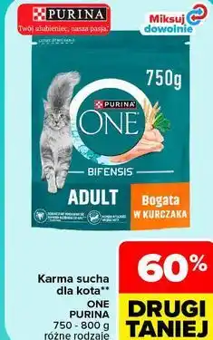 Carrefour Karma sucha dla kota Purina ONE Adult oferta