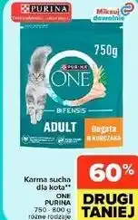 Carrefour Market Karma sucha dla kota Purina ONE Adult oferta