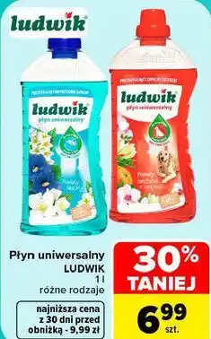 Carrefour Płyn uniwersalny LUDWIK oferta