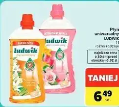 Carrefour Market Płyn uniwersalny LUDWIK oferta