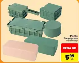 Carrefour Pianka florystyczna oferta